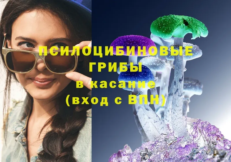 закладка  KRAKEN зеркало  Псилоцибиновые грибы Psilocybine cubensis  Брянск 